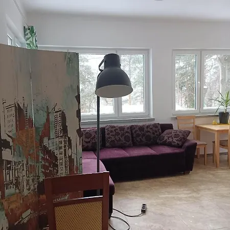 Viking Roznow Apartment Exterior photo