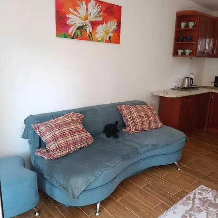 Viking Roznow Apartment Exterior photo