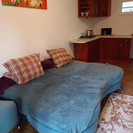 Viking Roznow Apartment Exterior photo