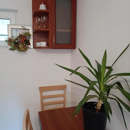 Viking Roznow Apartment Exterior photo