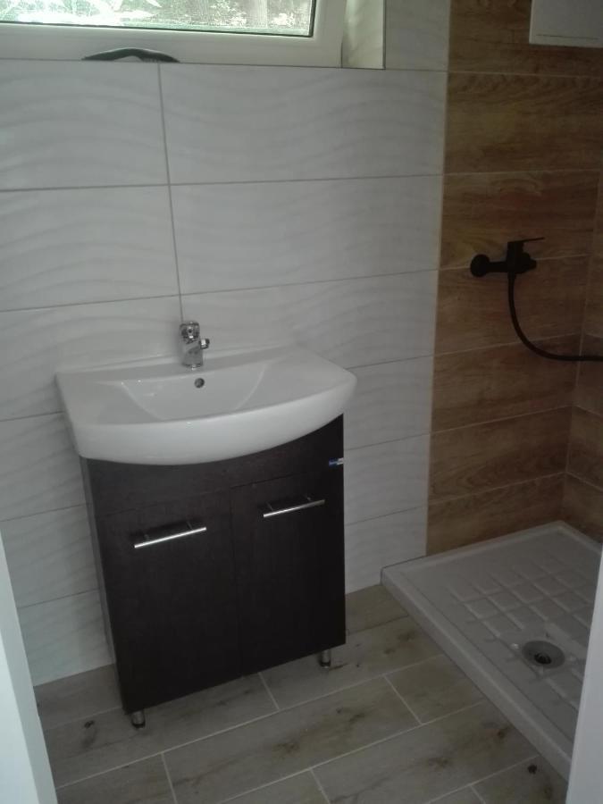 Viking Homestay Roznow