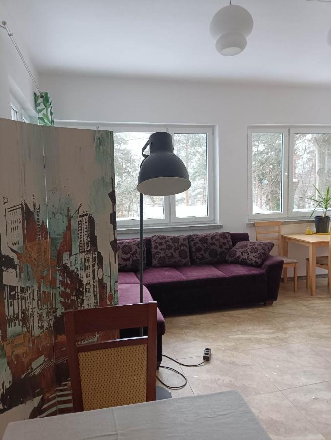 Viking Homestay