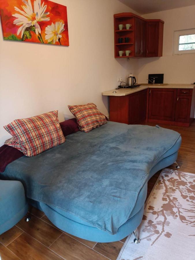 Viking Homestay *