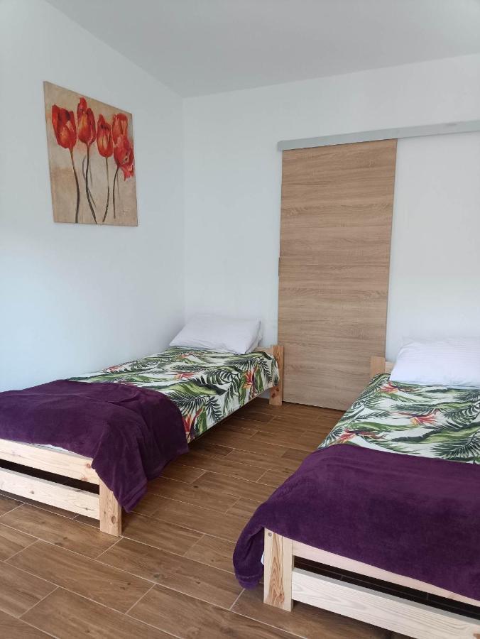 Viking Homestay