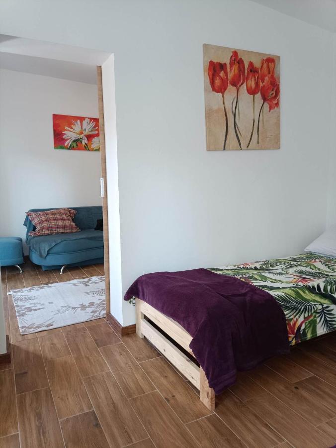 Viking Homestay *