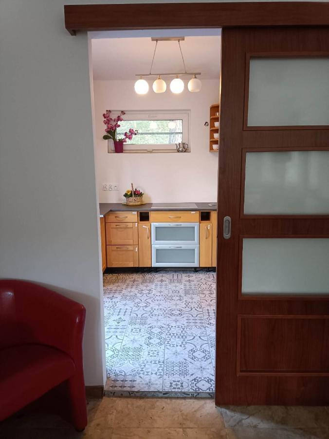 Homestay Viking Roznow
