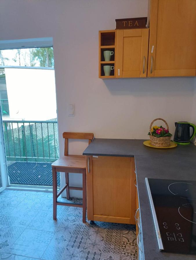 Viking Homestay Roznow