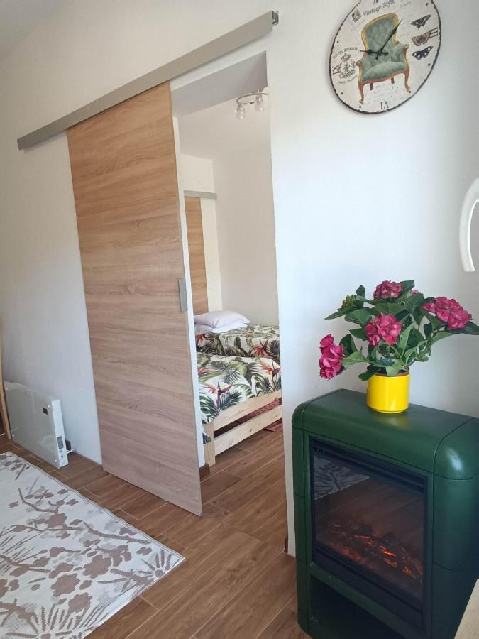 Viking Homestay Roznow